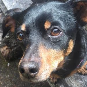 Meet your Posher, Zeah